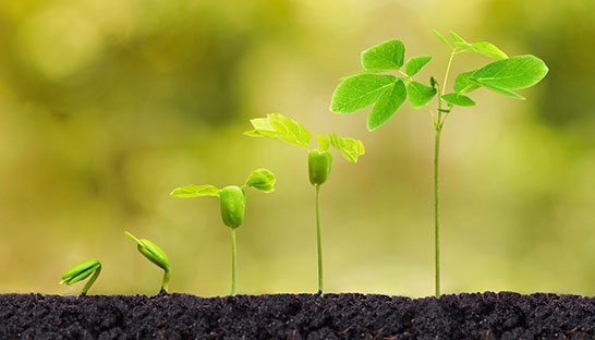 BDO adds 57 professionals to South African business