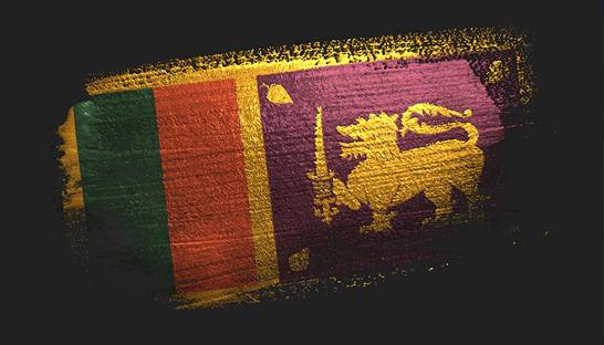 CEO's have mixed outlook for Sri Lankas's economy in 2021