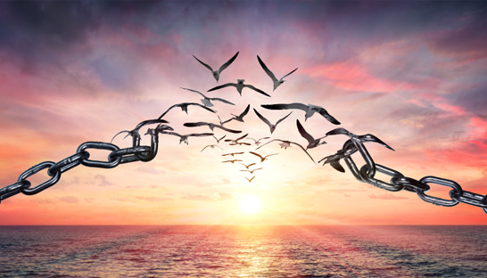 Achieving a successful transformation in an era of disruption