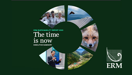 ERM reports $1 billion revenues, boosts global renewable energy capacity