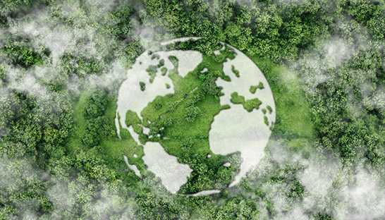 Kearney nearly doubled amount of sustainability engagements in 2023 