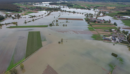 Extreme weather in Europe taking toll on food supply chains