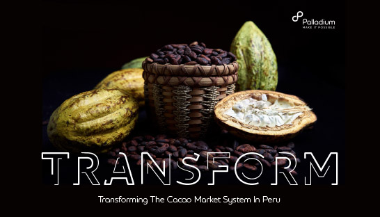 How Palladium helped Peru transform its cacao market