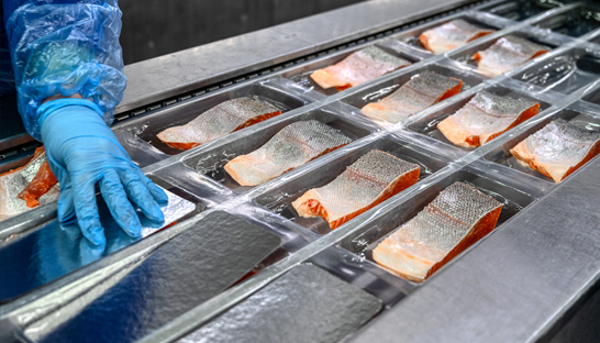 Arctic Fish Products selects RSM UK for administration process