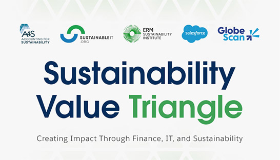Sustainability integration accelerates value creation, ERM finds