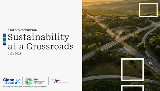 Businesses cannot be left to self-regulate on sustainability, experts conclude