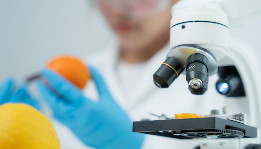 M&A in testing, inspection, certification and compliance sector remains upbeat